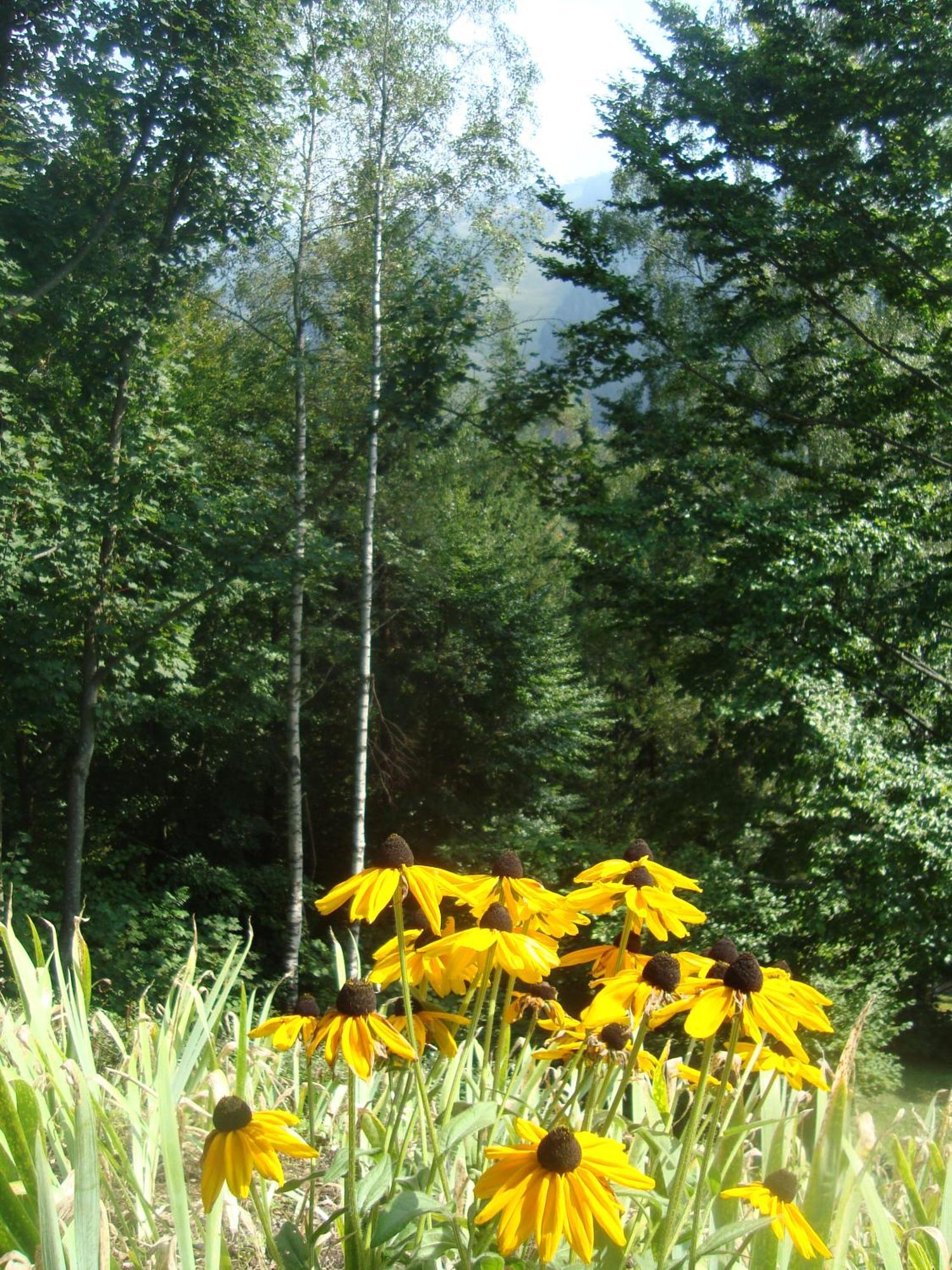 Semmering Villa Sonnenschein Esterno foto